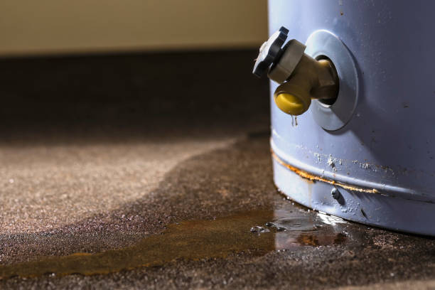 Best Water damage restoration near me  in Union, NJ