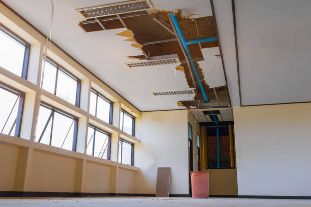 Best Fire Damage Restoration  in Union, NJ