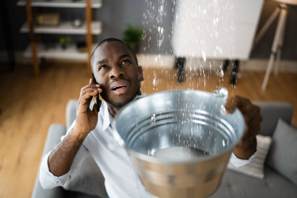 Best Water damage restoration near me  in Union, NJ
