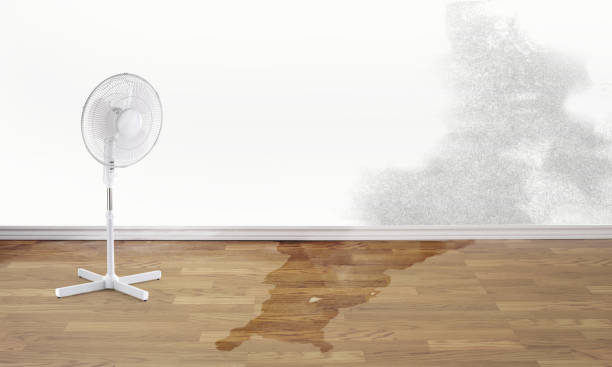 Best Emergency water damage restoration  in Union, NJ