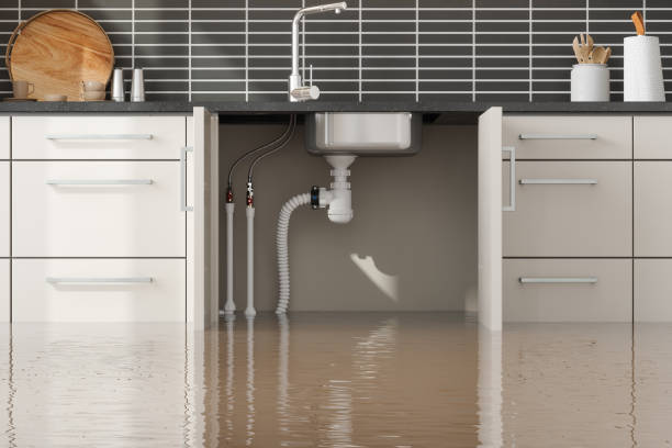 Best Water damage restoration cost  in Union, NJ