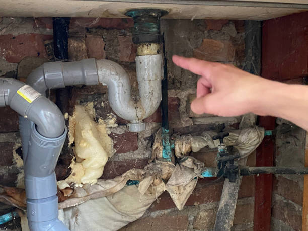 Best Professional water damage repair  in Union, NJ
